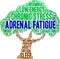 Adrenal Fatigue Word Cloud