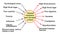 Adrenal resistance and elevated cortisol