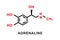 Adrenaline chemical formula. Adrenaline chemical molecular structure. Vector illustration