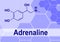 Adrenaline or epinephrine hormone chemical structure. Epinephrine is normally produced by both the adrenal glands and