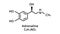 Adrenaline molecular structure. Epinephrine skeletal chemical formula. Chemical molecular formula vector illustration