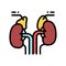 adrenals endocrinology color icon vector illustration