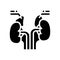 adrenals endocrinology glyph icon vector illustration