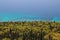 Adriatic sea with pine and cypress forest