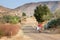 Adult african woman in national blanket dress on village street carries garbage and firewood, old basotho woman at along road