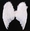Adult Angel Wings Photography Prop
