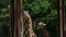 Adult and baby giraffe eating hay, captivity