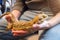 Adult bearded dragon, Pogona vitticeps, agamid lizard in hand