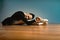 Adult beautiful woman 45-55 years old, ballerina in pointe shoes sits on the floor and poses for the camera. Active old