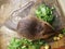 An adult beaver eats a plant in a nursery. Animal protection concept. Nature biosphere reserve in Voronezh Oblast