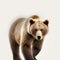 An adult brown bear isolated on a white background. Generative ai