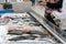 Adult buyers searching for fresh seafoods on crushed ice in open display of fish shop.