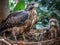 Adult Buzzard with babies (generative AI
