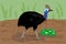 Adult cassowary with eggs, vector illustration