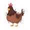 Adult chicken. Vector illustration on a white background.