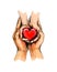 Adult and child hands holding red heart, health care, donate, world heart day