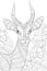 Adult coloring book,page a cute head of antilope image for relaxing.