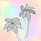 Adult coloring doodle palm trees