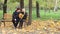 An adult couple sits on a bench in a forest park, talks and laughs, a man and a woman communicate in nature on a sunny