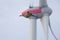 An adult crane bird flying dangerously near the blades of a wind turbine.