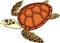 Adult cute cartoon swimming sea turtle on white background