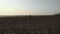 Adult farmer examining plowed field, preparing land for sowing. Seasonal agricultural works concept.