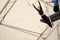 An adult female hangs on a flying trapeze at an indoor gym. The woman is an amateur trapeze artist