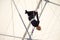 An adult female hangs on a flying trapeze at an indoor gym. The woman is an amateur trapeze artist