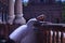 Adult female Hispanic classical ballet dancer making figures leaning on a stone balustrade, wearing a white tutu