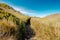 Adult female in red shirt hiking the scenic trail of Mount Pulag National Park, Benguet, Philippines