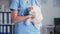 adult fluffy domestic cat in the arms of the veterinarian in the medical office, close-up