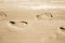 Adult footprints on wet white sandy coast. No people. Water not visible. Closeup horizontal view