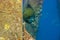 Adult French Angel Fish swimming under a pier next to a pillar