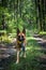 Adult German Shepherd Active Dog, Exercises in Forest, Helthy Lifestyle