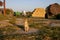 Adult ginger cat against countryside