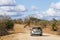 Adult giraffe alone crossing a dirt road causing a roadblock with beautiful clouds