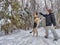 Adult girl, shepherd dog and training in a winter forest. Middle aged woman and big shepherd dog on nature in cold day