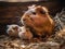 Adult Guinea Pig with babies (generative AI