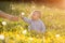 Adult hand holds baby dandelion at sunset Kid sitting in a meadow Child in field Concept of protection Allergic to flowers pollen