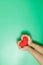 Adult hands holding red heart isolated on green background, health care, donate and family insurance concept