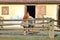 Adult Horse and Rustic Corral and Stable