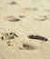 Adult human footprints or steps foot on yellow wet beach sand on the surface of the sea water in the open air on the sand texture