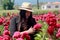 Adult latin woman with hat walks in field of red flowers, flower for day of the dead in Mexico