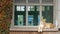 Adult lion sitting on the windowsill