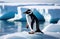 adult lone penguin on an ice floe, iceberg in the ocean, kingdom of ice and snow, snowy coast, far north