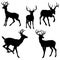 Adult male deer silhouette black set