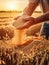 Adult male hands holding the grains of wheat. Ripe wheat in the farmland around. Sunset backdrop. Generative AI