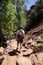 Adult Male Hiking in the Desert