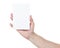 Adult man hand showing blank medium size paper card