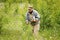 Adult man picking flowers